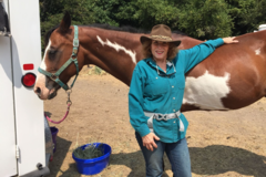 Request Quote: Harris Rustic Ranch Retreat - Horse Boarding - Loomis, CA