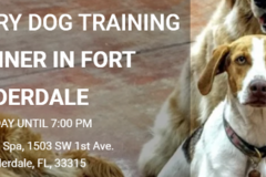 Request Quote: Evolutionary In Home Private Dog Training  - Fort Lauderdale, FL