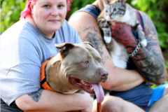 Request Quote: RELIABLE Pet Care - Pet Boarding and Pet Care Services - Palm Bay, FL