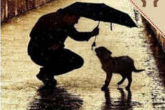 Request Quote: Compassionate Care - In Home Pet Euthanasia - Oceanside, NY