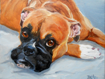 Boxer dog portrait oil painting by Robin Zebley