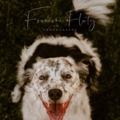 Fluty Photography - Pet Photographer - Reno, NV