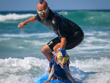 Derby - Surf-a-thon