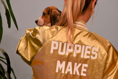 Request Quote: Photo by Cyndee - Pet Photographer - Los Angeles, CA