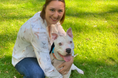 Request Quote: Companion Canine Connections - Dog Training Service - Phoenix, AZ