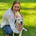 Companion Canine Connections - Dog Training Service - Phoenix, AZ
