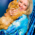 Blue Fire Animal Reiki - Healing for Animals and Owners - Nationwide