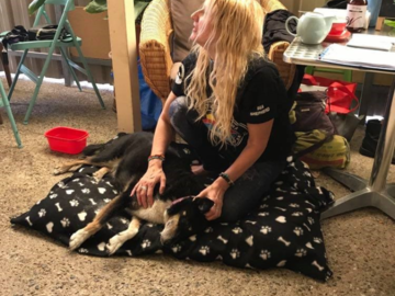 Dog Reiki at Vegan Cafe