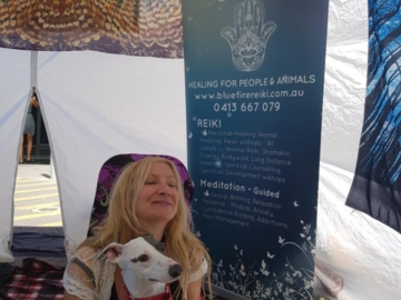 Dog Reiki Henley Bch Markets