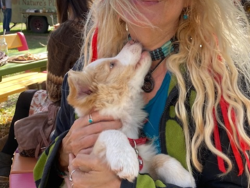 Dog Reiki Willunga Markets