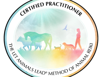 Let Animals Lead Method of Animal Reiki