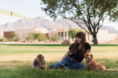 Request Quote: The Motivated Mutt - Private Dog Training Service - North Las Vegas, NV