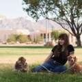 The Motivated Mutt - Private Dog Training Service - North Las Vegas, NV