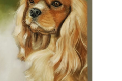 Request Quote: Katrina Pet Pawtraits - South Carolina Portrait Artist  - Nationwide