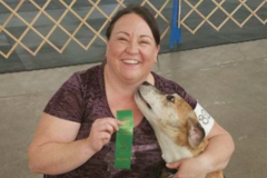 Request Quote: Paw Partner Dog Training - CCPDT Certified K9 Trainer - Ogden, UT