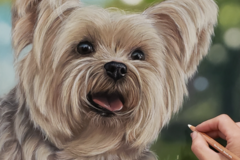 Request Quote: Denver Colorado Custom Soft Pastel Pet Portraits - Nationwide