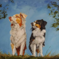 Mallory Cash Art - Loveland Colorado Pet Portrait Artist - Nationwide