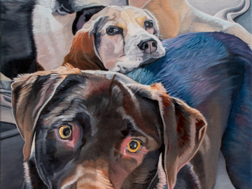 Dog painting of two Labradors and one Beagle.