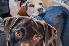 Request Quote: MLMarchant Art - Pet Portrait Artist - Nationwide