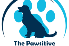 Request Quote: The Pawsitive Approach - Certified Private Dog Trainer - Delaware, OH