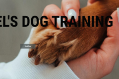 Request Quote: Mel’s Private Dog Training  - Calgary, ABTZY