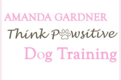 Request Quote: Think Pawsitive - In Home Private Dog Training - Manlius, NY