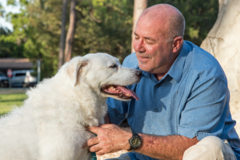 Request Quote: Positive Touch Dog Training - Largo, FL