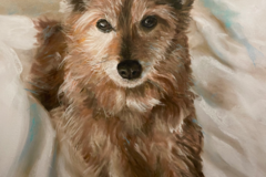 Request Quote: Sola - Artist - Pet Portrait Painter - Nationwide