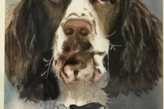 Request Quote: Eileen Howe Covington, Art, LLC - Pet Portrait Artist - Nationwide