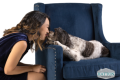 Request Quote: Hatton Pet Portrait Studio - Pet Photographer - Cocoa Beach, FL
