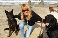 Request Quote: Tricia Reeves Dog Walking, Pet Sitting & Taxi Services - Carlsbad, CA