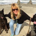 Tricia Reeves Dog Walking, Pet Sitting & Taxi Services - Carlsbad, CA