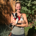 Denver Woof Pack - Professional Dog Walking Service - Denver, CO
