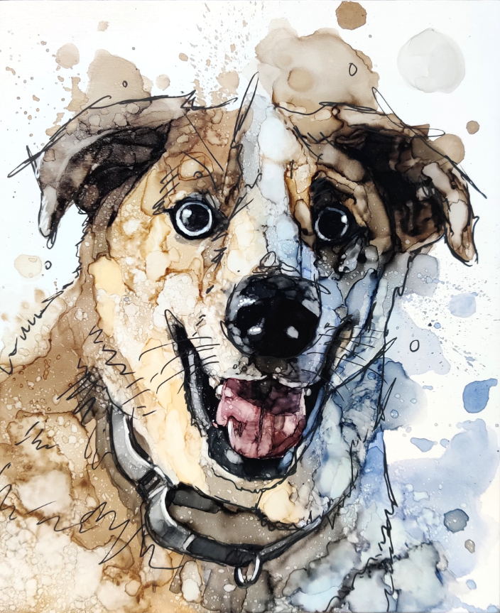 Vancouver, WA - Ink Pet Portraits - Pet Portrait Artist