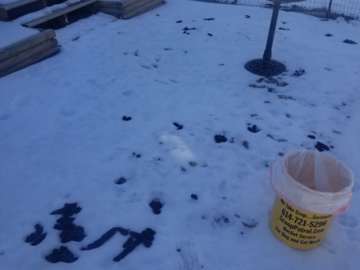 #scooppatrol pet waste removal