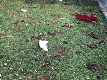 #scooppatrol pet waste removal