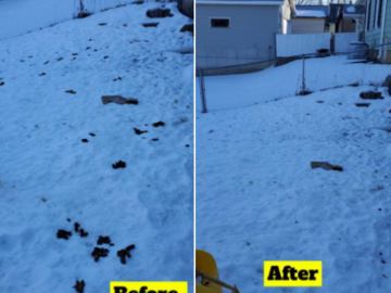 #scooppatrol pet waste removal