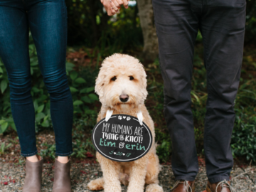 Chalkboard Wedding Announcement Sign - Pet Milestones