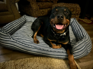 Handsome Boyyy!