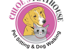 Request Quote: Chloe's Playhouse Pet Sitting and Dog Walking Service - Charlotte, NC