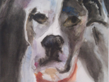 Pet Portrait 12x9" watercolor by Andrea Goldsmith
