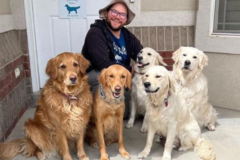 Request Quote: Poop Scoop Mass - Dog Waste Removal Service - Boston, MA