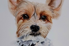 Request Quote: Xpressions by Boni - Lacey Washington Pet Portraits  - Nationwide
