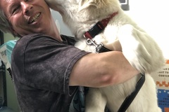 Request Quote: Dog Gone Good Training - Canine Behavior Modification - Richmond, CA