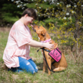 Infinite Possibilities Pet Training - Dog Trainer - Milwaukee, WI