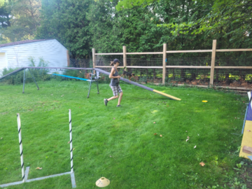 Agility Practice at Furever Pet Care