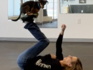 Foot Stall Dog Trick