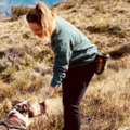 Beezy's Pack, Inc. - Dog Training and Canine Behavior  - Redding, CT