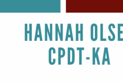 Request Quote: In Tandem Private In Home Dog Training  - East Moline, IL