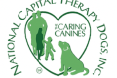 Request Quote: 4 On The Floor Dog Training and Behavior Consulting - Nationwide